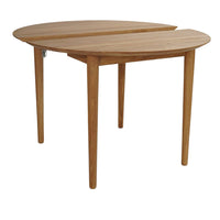 BPS119 Table w/ Extendables