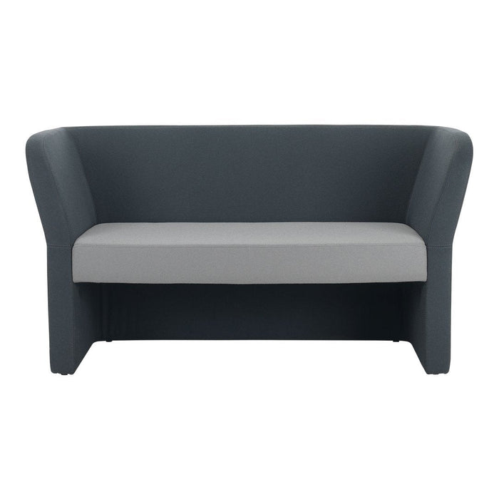 Two-tone gray sofa with a dark gray exterior and light gray cushion, featuring a modern, minimalist design.