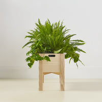 Ori Planter