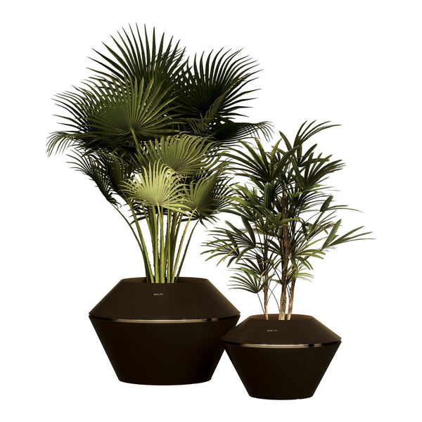 "Set of two elegant hexagonal black planters with lush green palm leaves, perfect for modern decor."