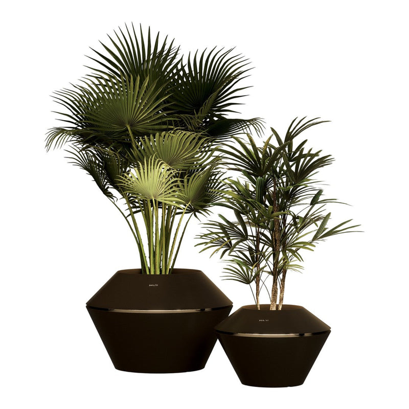 "Set of two elegant hexagonal black planters with lush green palm leaves, perfect for modern decor."