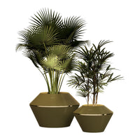 Green palm plants in stylish hexagonal olive pots with a glossy finish. Perfect for modern decor.