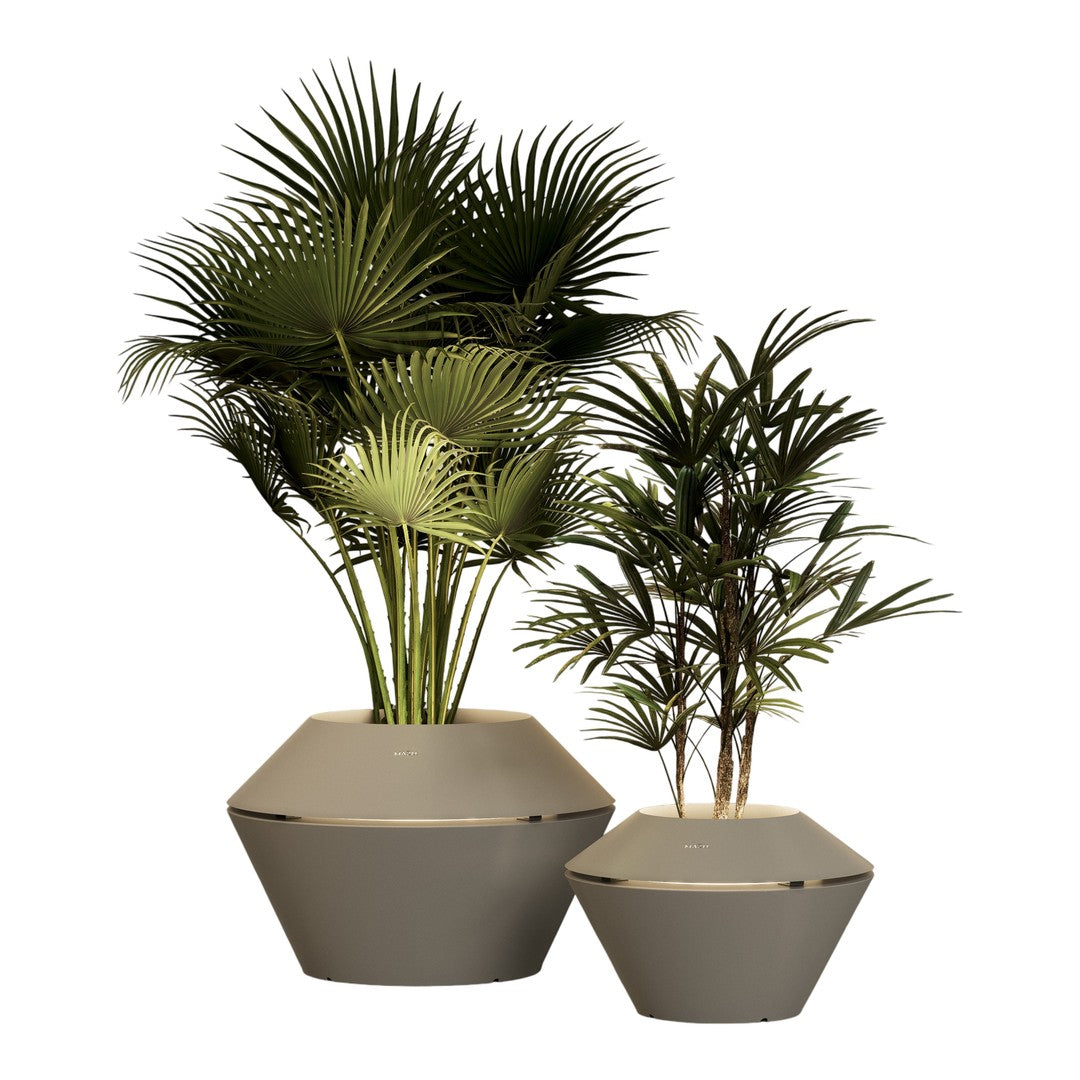 Two geometric planters in neutral tones with lush green palm leaves for a modern decor touch.