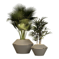 Two geometric planters in neutral tones with lush green palm leaves for a modern decor touch.
