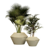 "Two elegant green potted palms in modern beige geometric planters, showcasing lush foliage and varied textures."