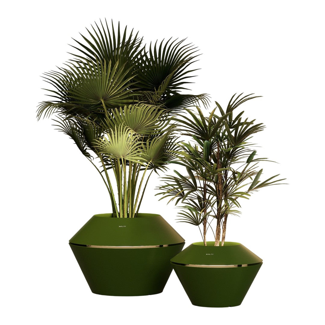 Green geometric planters with lush palm foliage in varied shades of green, showcasing natural textures and patterns.