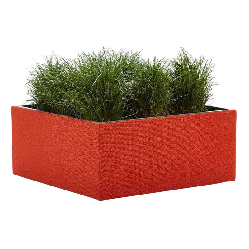 Red square planter with vibrant green grass, featuring a sleek modern design suitable for home decor.
