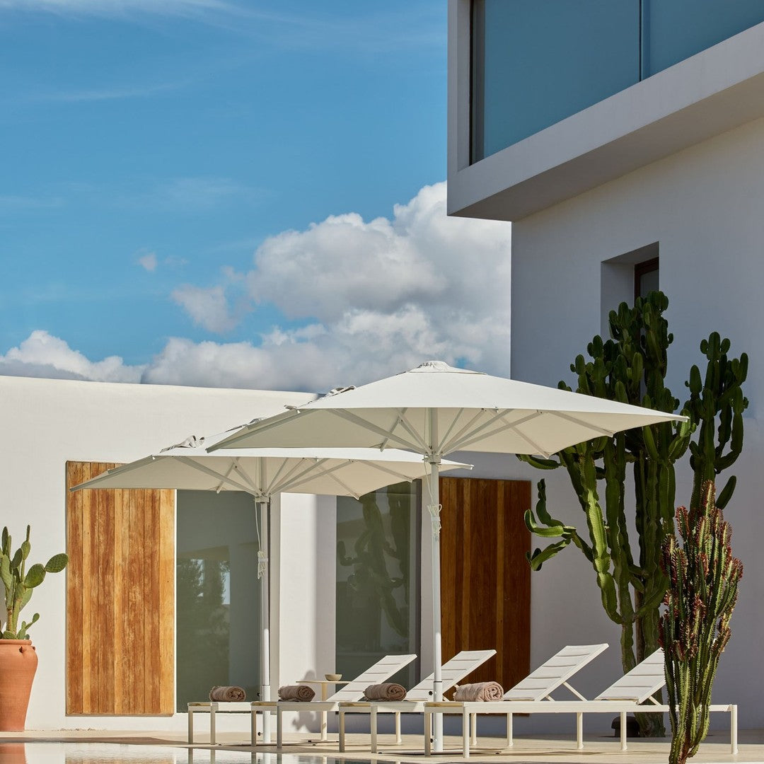 White patio umbrellas with a crisp design against a blue sky and modern architecture, surrounded by green cacti.