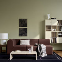 Brown sofa with geometric pillow, beige bookcase, green wall, and dark patterned rug for a modern living space.