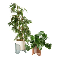 Two stylish plant pots: one in soft teal and one in warm terracotta, both featuring sleek, modern designs.