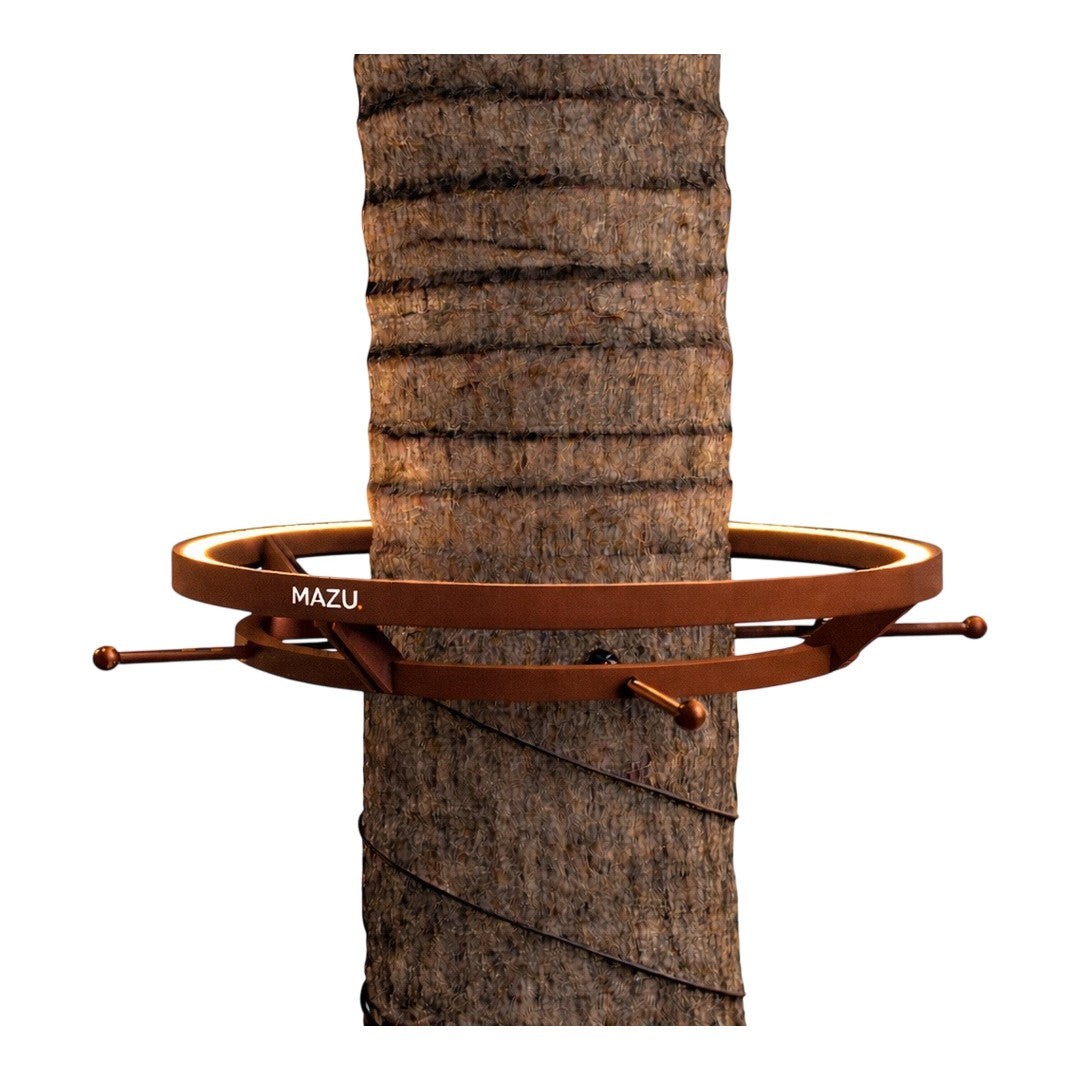 Bronze circular tree mount with smooth metal finish, contrasting with textured brown tree bark. Modern design accents.