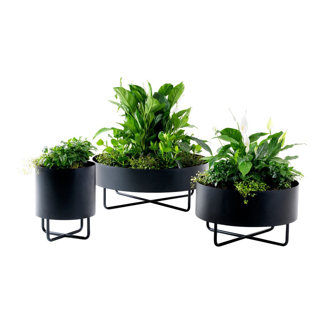 Set of three sleek black planters with vibrant green plants, featuring smooth and textured surfaces in various shapes.