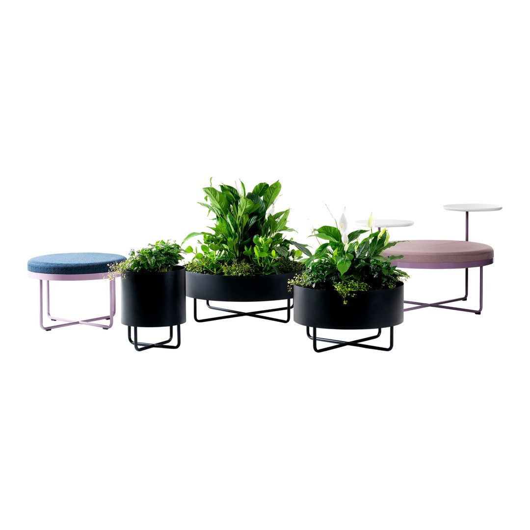 Colorful modern planters in black, pink, and blue, featuring lush green plants and vibrant upholstery patterns.