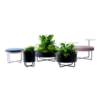Colorful modern planters in black, pink, and blue, featuring lush green plants and vibrant upholstery patterns.