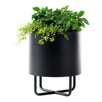 Black planter with glossy finish and vibrant green foliage, featuring trailing light green plants for a fresh look.