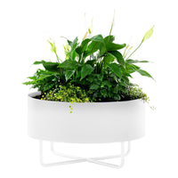 White planter with lush green plants and delicate white flowers, featuring a minimalist round design.