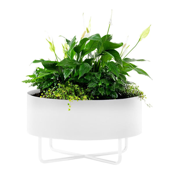 White planter with lush green plants and delicate white flowers, featuring a minimalist round design.
