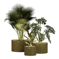 Lush green indoor plants in matte olive pots, featuring varied leaf shapes and textures, creating a vibrant natural aesthetic.
