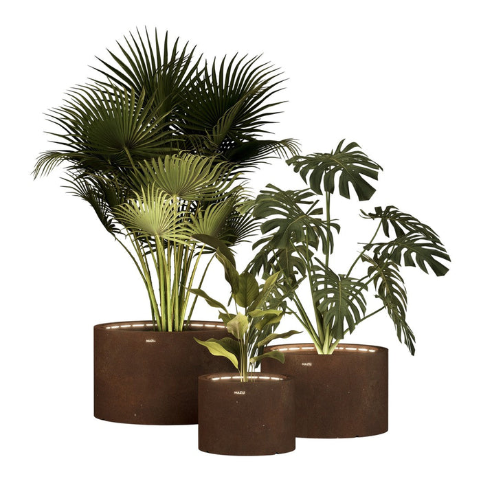 Green tropical plants in brown cylindrical pots, featuring various leaf shapes and textures. Perfect for indoor decor.