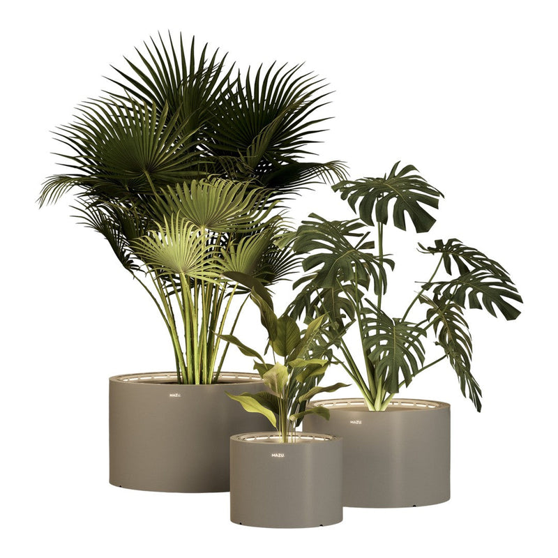 Three varied green indoor plants in sleek beige pots, showcasing lush foliage and vibrant patterns.