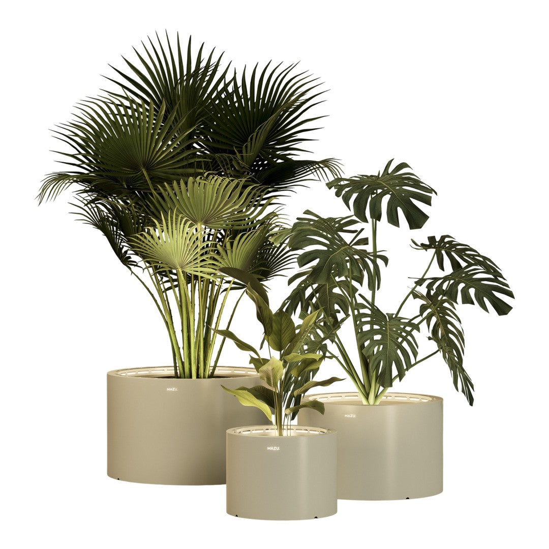 Lush green indoor plants in smooth, light beige pots, featuring various leaf patterns for a modern aesthetic.