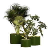 "Four lush green potted plants with vibrant leaves in stylish dark green planters, showcasing rich leaf textures and patterns."