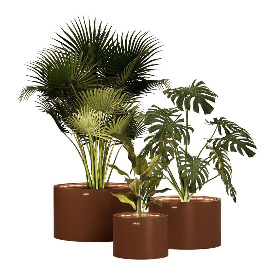 Lush green plants grouped in sleek, round brown pots, showcasing vibrant foliage and natural textures.