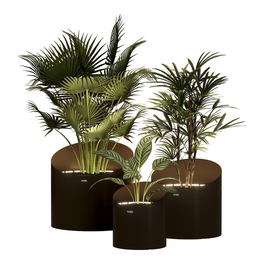 Three dark planters with lush green tropical plants, featuring varied leaf shapes and textures. Perfect for indoor decor.