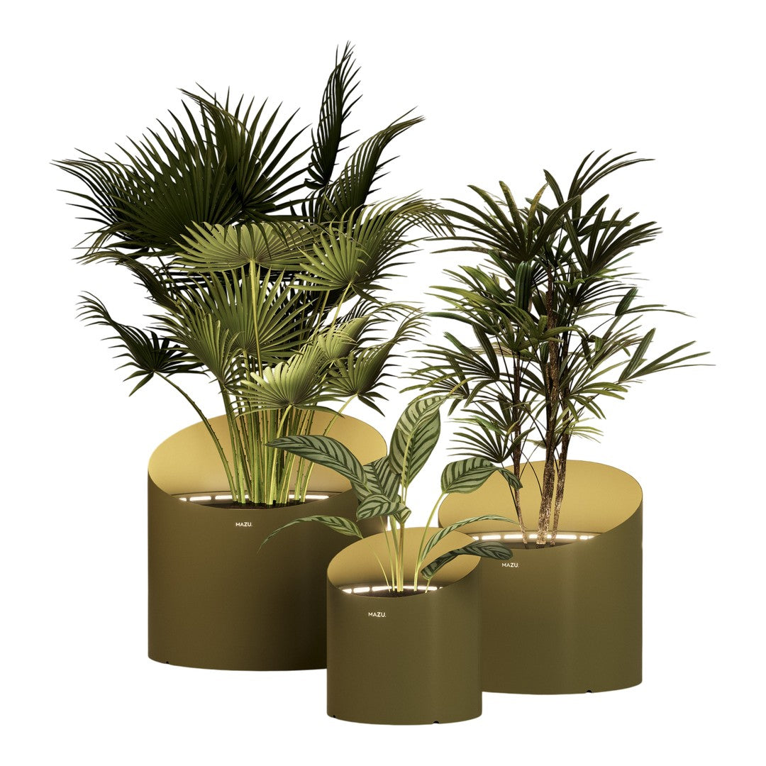 "Green tropical plants in round olive green pots with smooth surfaces and sleek modern design."