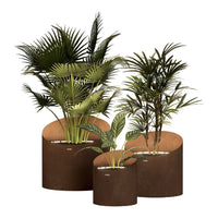 Three round planters in earthy brown tones, featuring lush green tropical plants. Elegant and modern design.