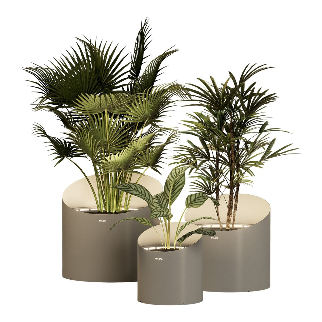 Three minimalist gray planters with lush green tropical plants, featuring sleek curves and vibrant foliage patterns.