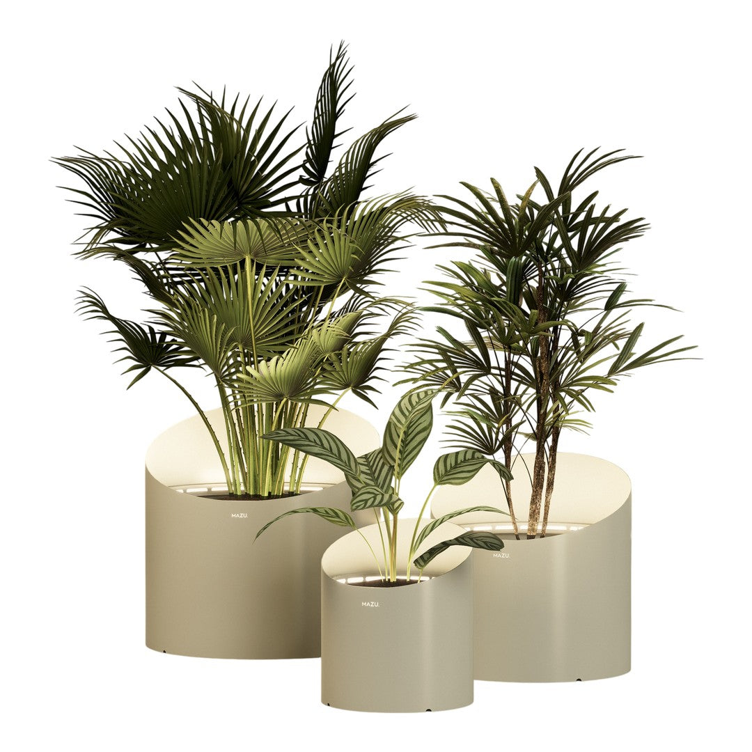 Lush green plants in modern beige planters, featuring varied leaf shapes and textures for a stylish decor touch.