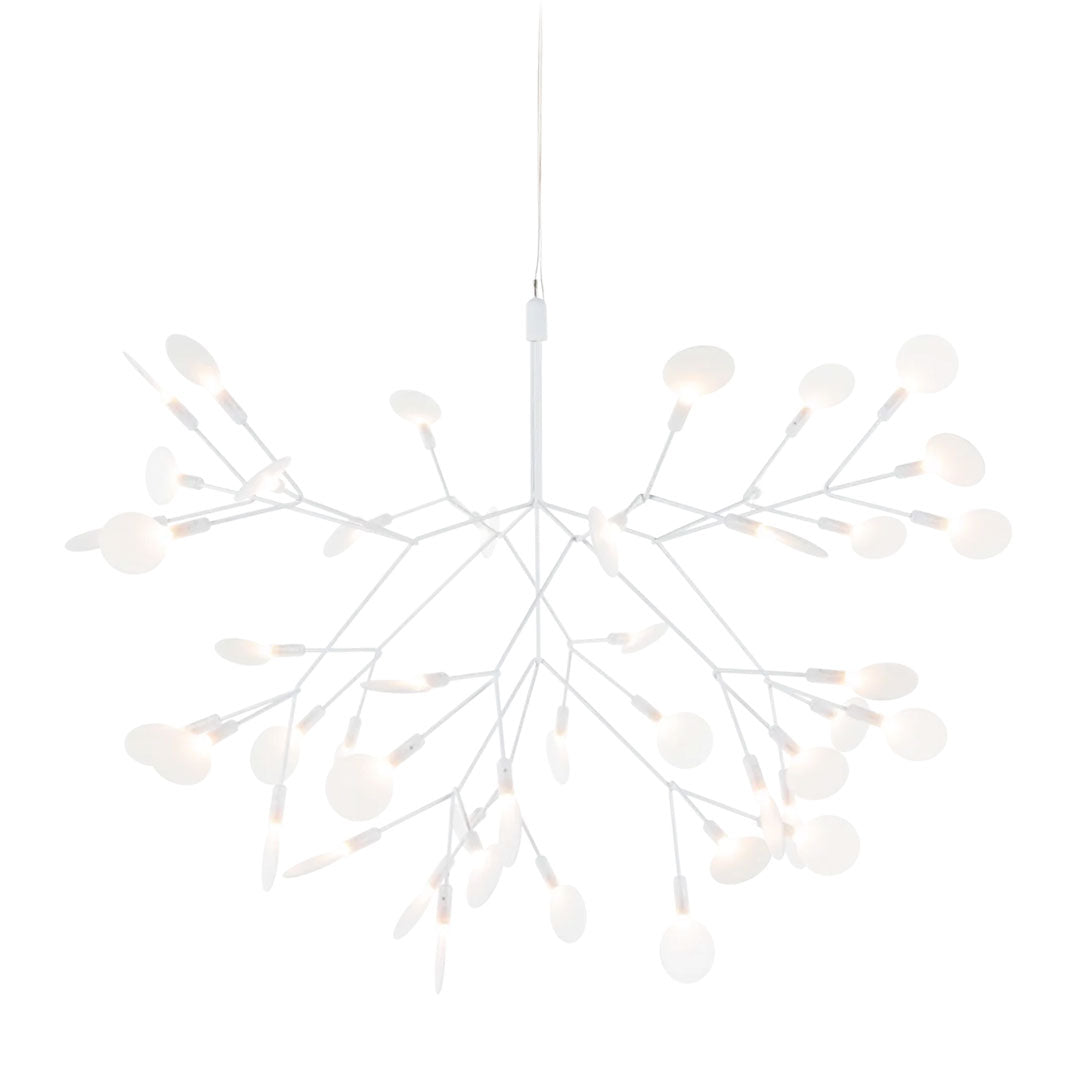 Heracleum III Small Suspended
